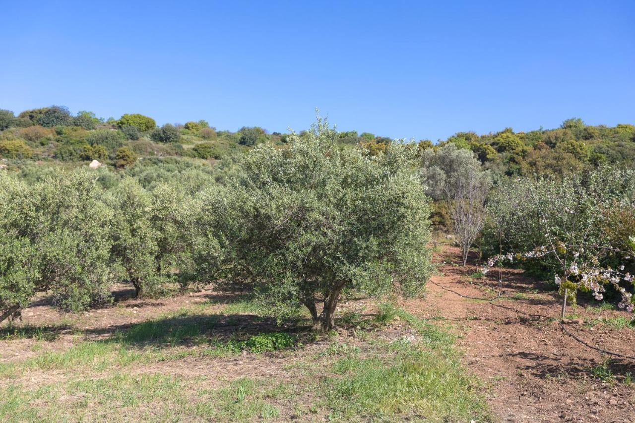 Eden'S Garden Skouloufia Βίλα Εξωτερικό φωτογραφία