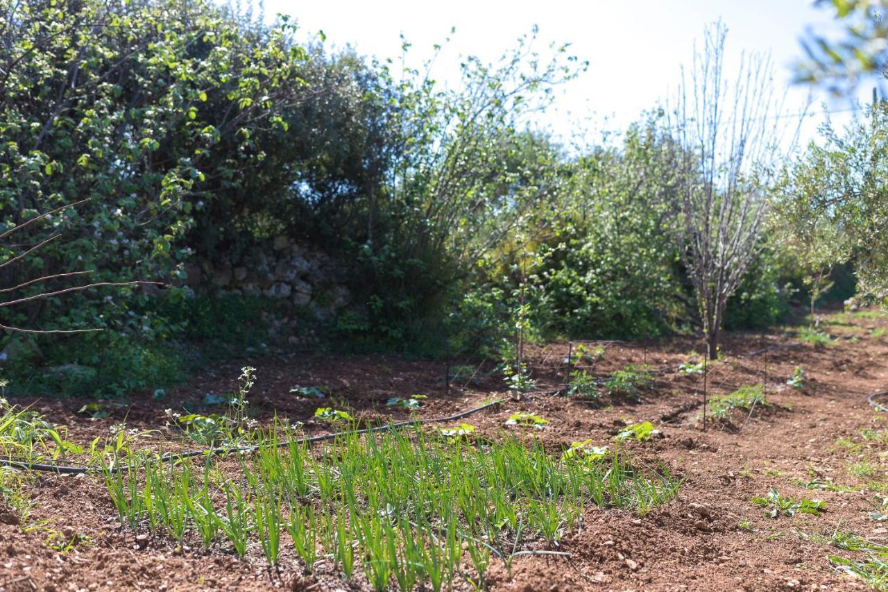 Eden'S Garden Skouloufia Βίλα Εξωτερικό φωτογραφία