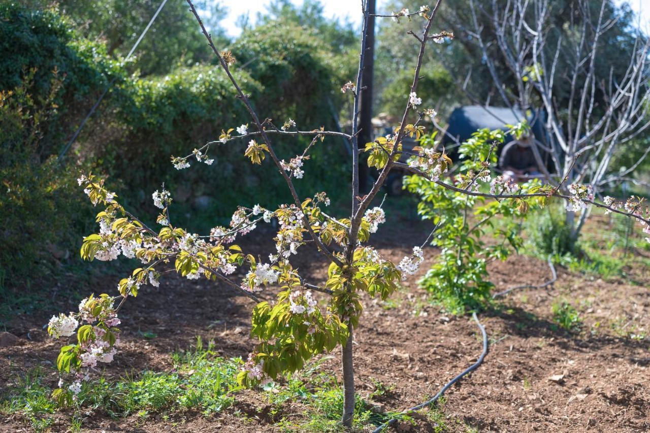 Eden'S Garden Skouloufia Βίλα Εξωτερικό φωτογραφία
